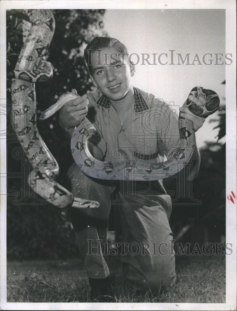 1958 George Gagnon displays his two prize pets, Boa Constrictors - Historic Images