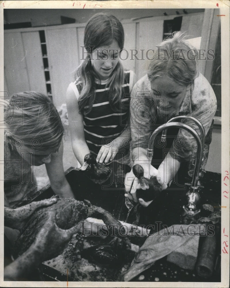 1970 Florida Presbyterian Students wash oil from birds after spill. - Historic Images