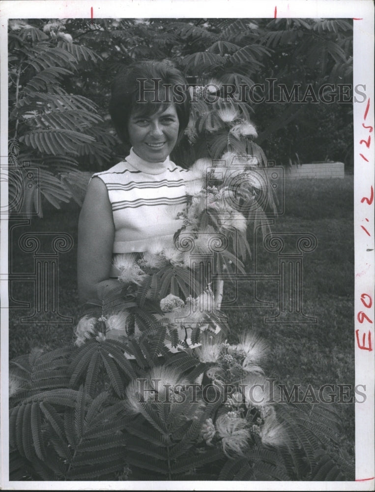 1970 Mrs William Pfannkuche has moved the mimosa tree every time - Historic Images