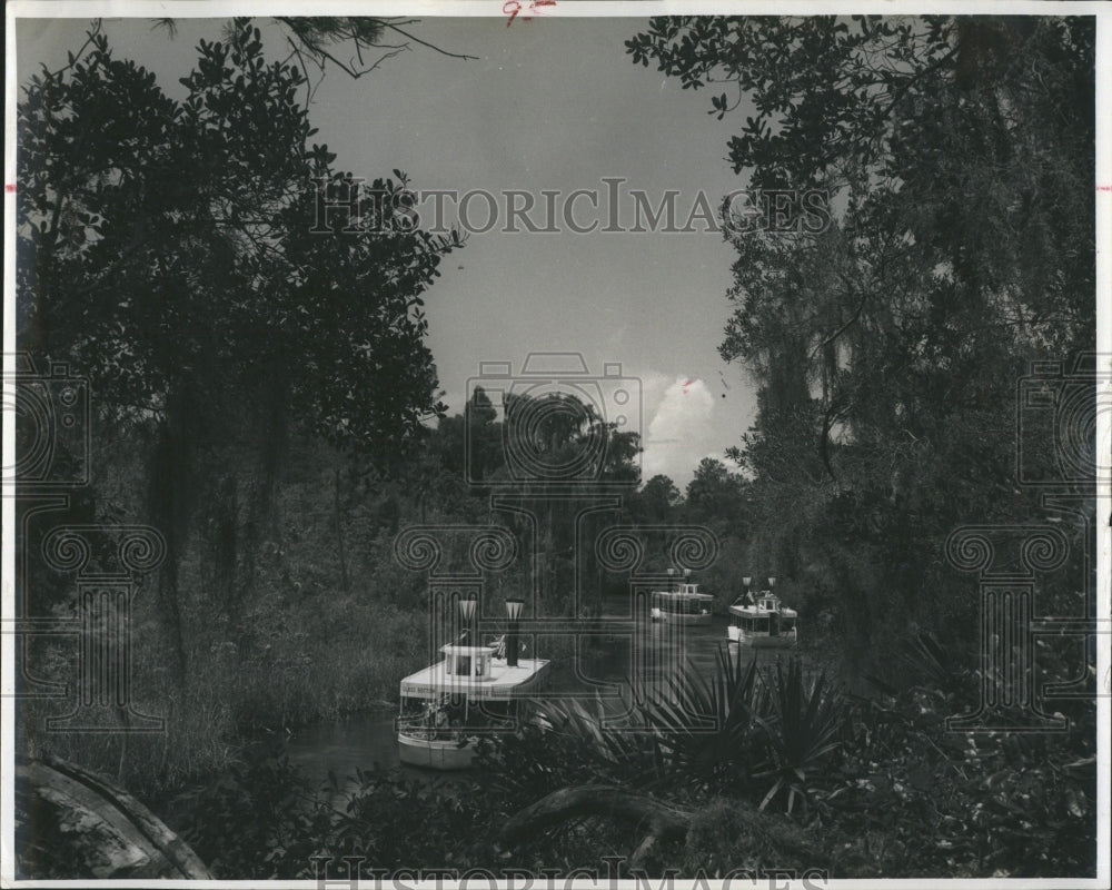 Congo Belles I, II, and III; Weeki Wachee River, Jungle Cruises - Historic Images