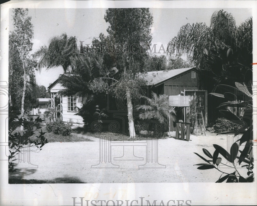 1973 A newly renovated Neighborhood Adult Center in St. Petersburg - Historic Images