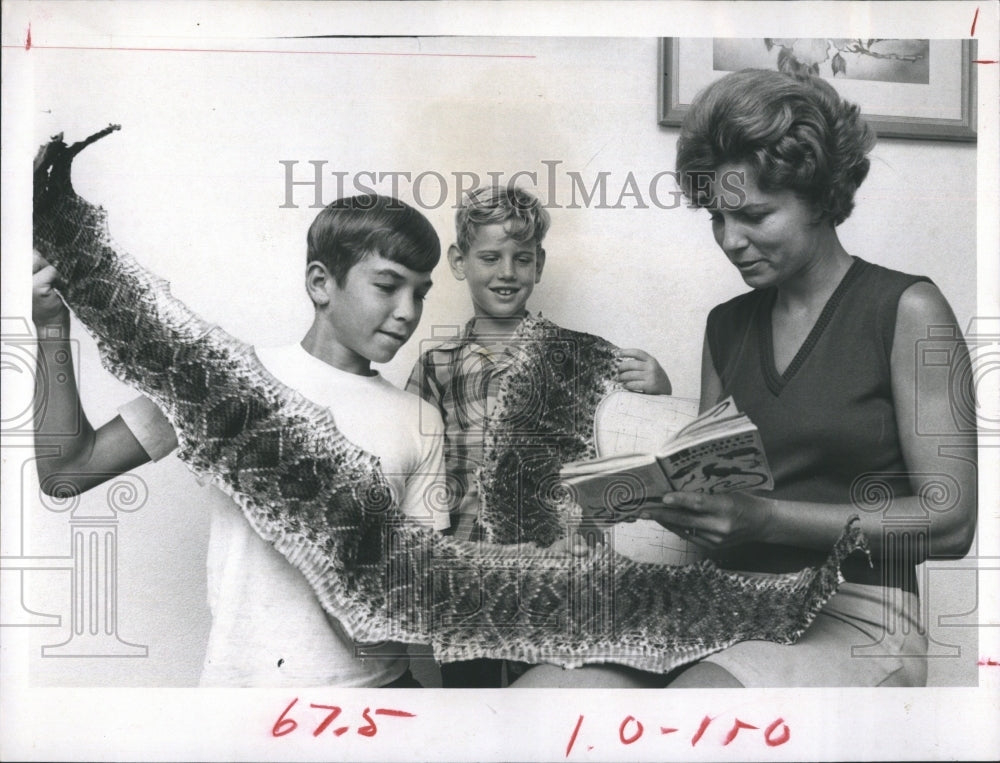 1968 Robert Chris Niendorf Diamondback Rattler Skin  - Historic Images