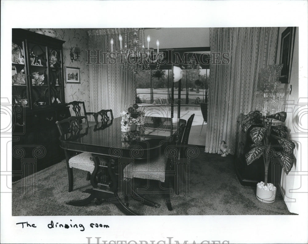 1981 Crystal Chandelier Owned by John Nicolazzi  - Historic Images