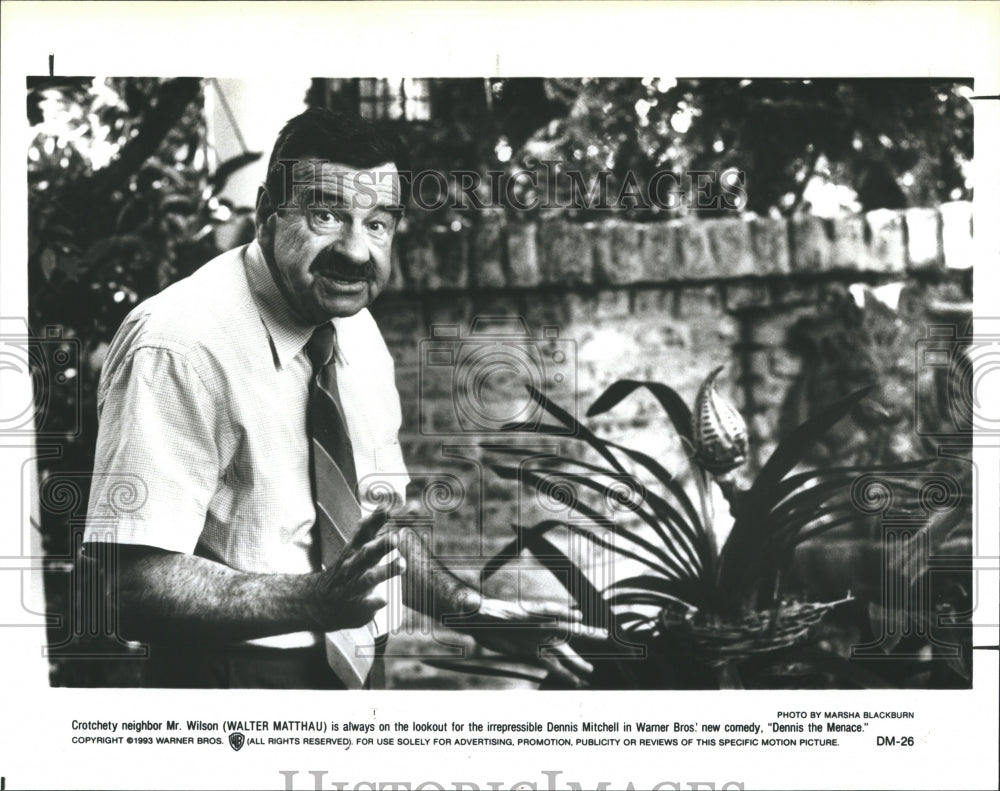 1993 Walter Matthau Stars In Dennis The Menace  - Historic Images