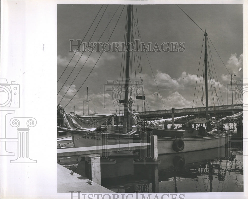 Press Photo Sea Gull Boat. - Historic Images