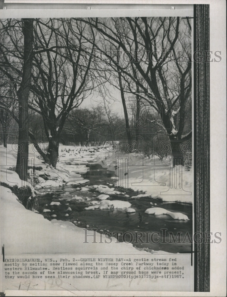 1978 Melting snow in the Honey Creek Parkway in Milwaukee - Historic Images