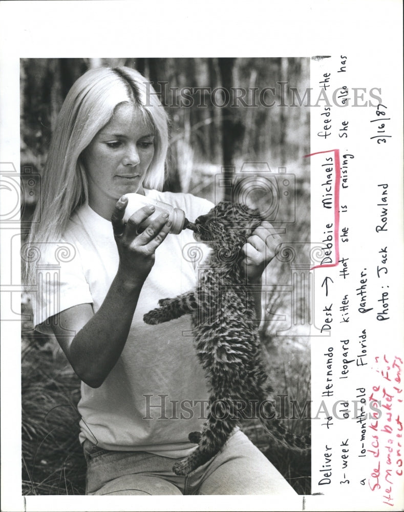 1987 Debbie Michaels feed his Leopard Kitten.  - Historic Images