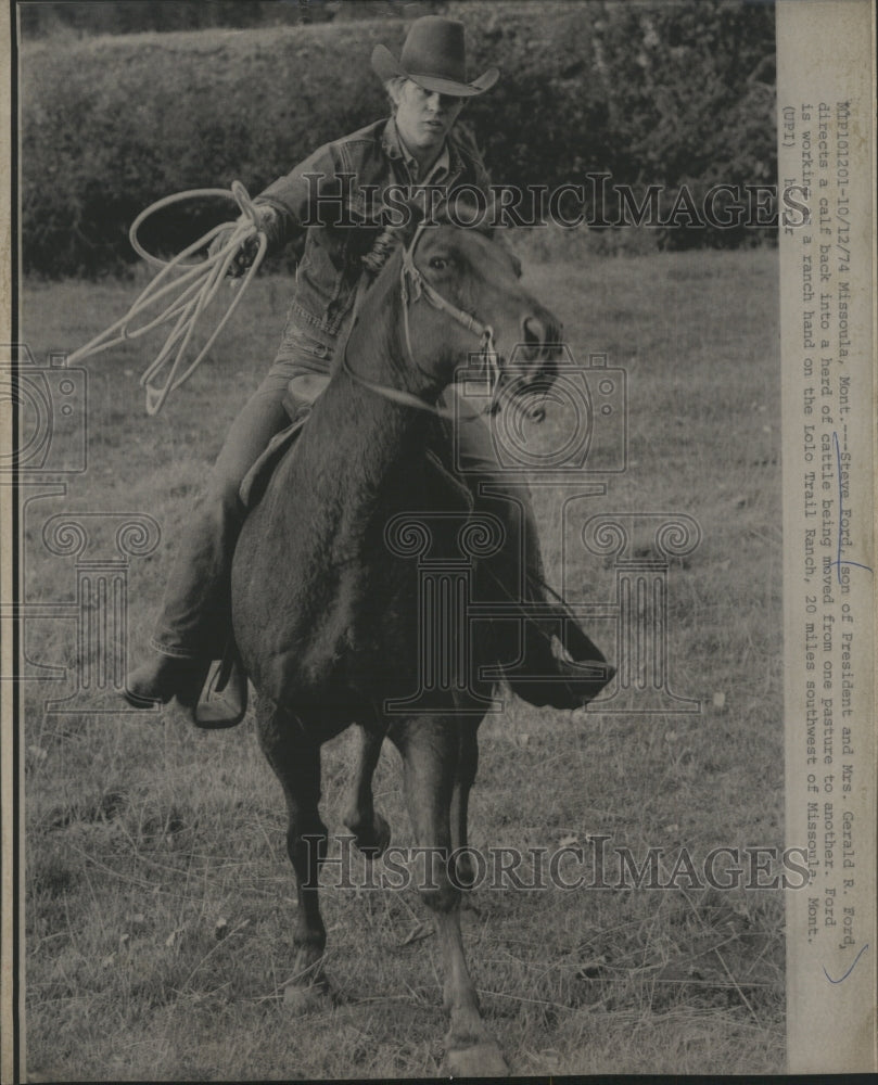 1974 Steve Ford son of President directs a calf back into a herd. - Historic Images