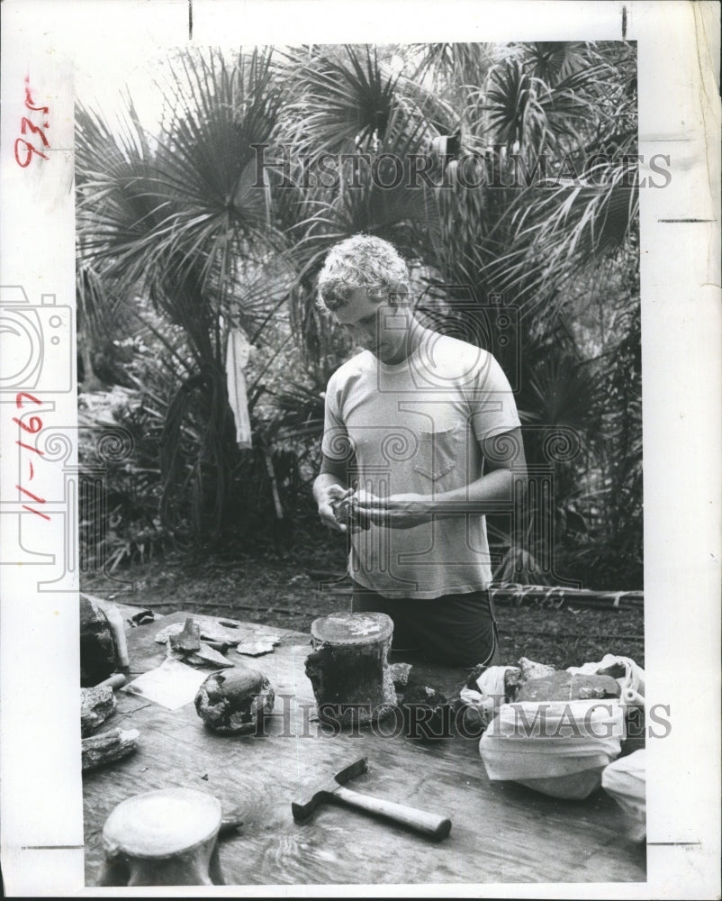 1982 Dr. Bob Taylor Examines Fossil Pieces Of Miocene Baleen Whale - Historic Images