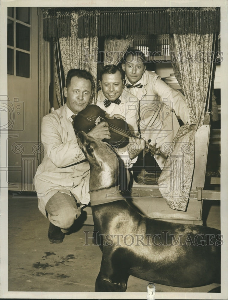 1960 Wiere Brother 's, Herbert, Sylvester and Harry and the Seal. - Historic Images