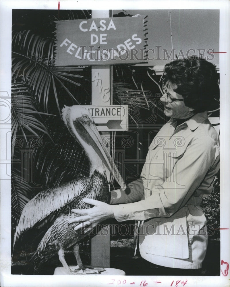 1971 Rosemary Collett with pelican on 'Pet Set" - Historic Images