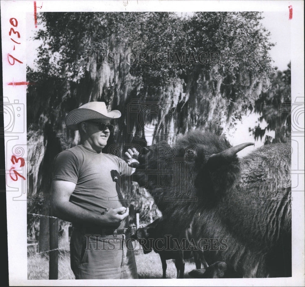 1967 C.B. Steward Jr. Pet Buffalo  - Historic Images