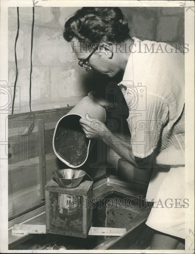 1952 transferring Crickets from brooder to container - Historic Images