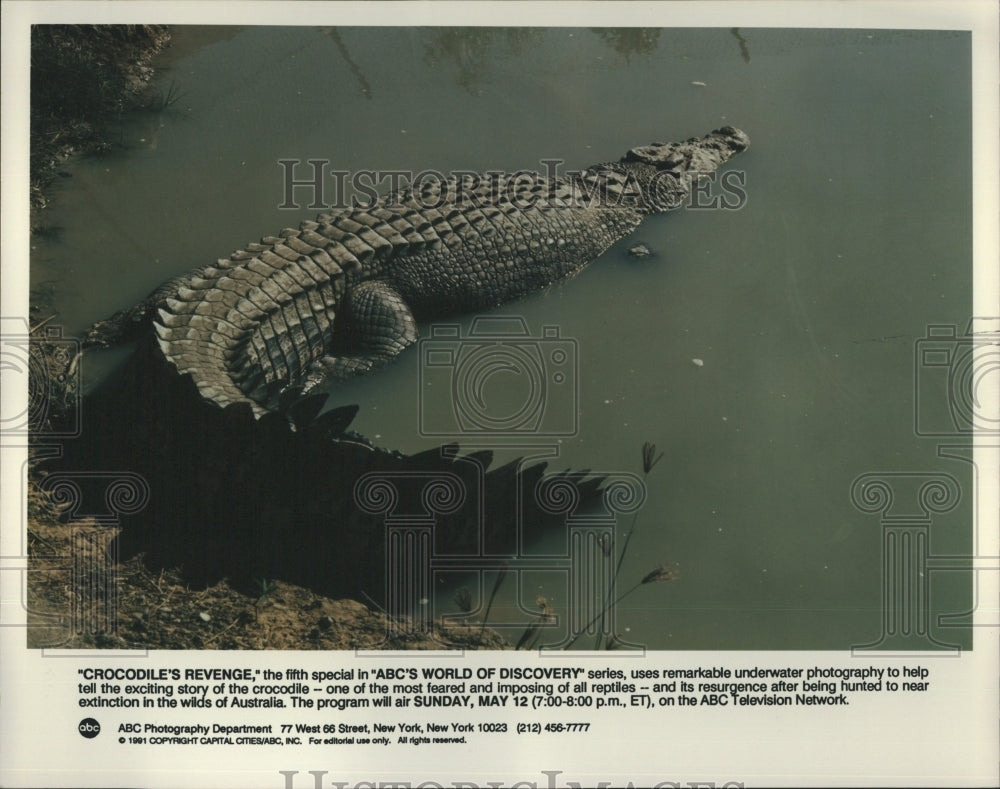 1991 croc from &quot;Crocodile&#39;s Revenge on ABC&#39;s World of Discovery - Historic Images