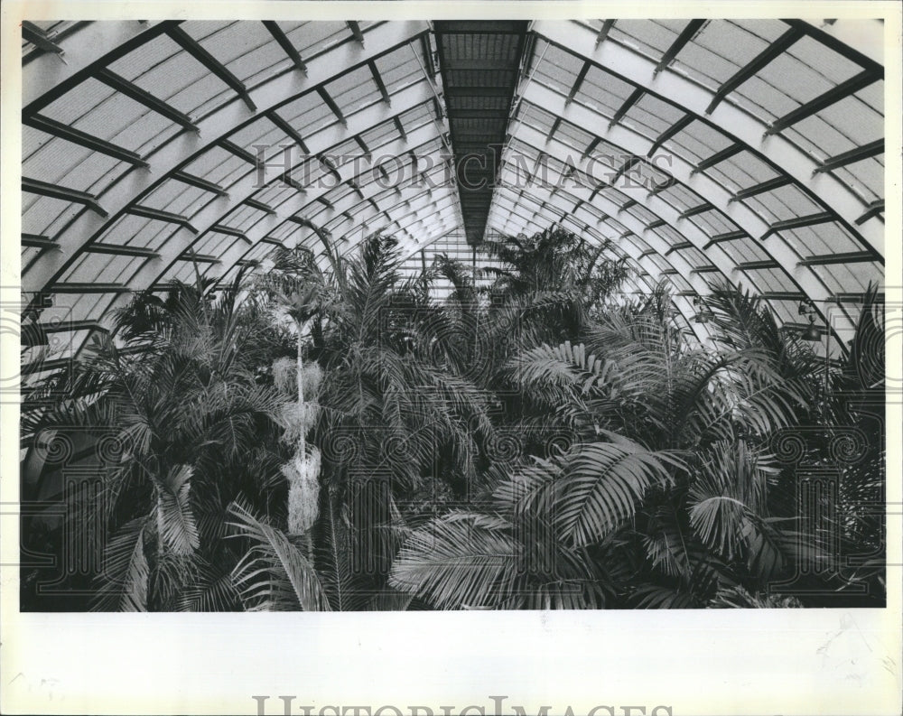 1984 Garfield Park Conservatory - Historic Images