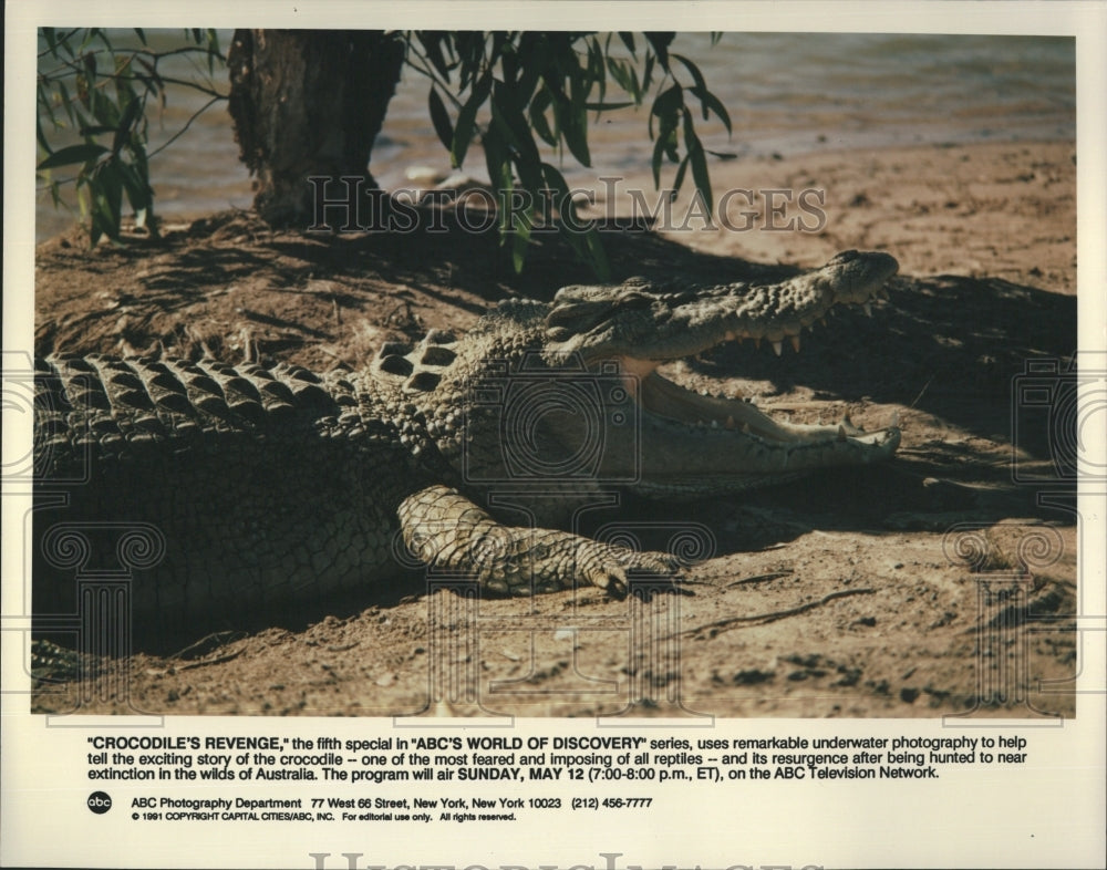 1991 "Crocodile's Revenge" "ABC's World of Discovery"  - Historic Images