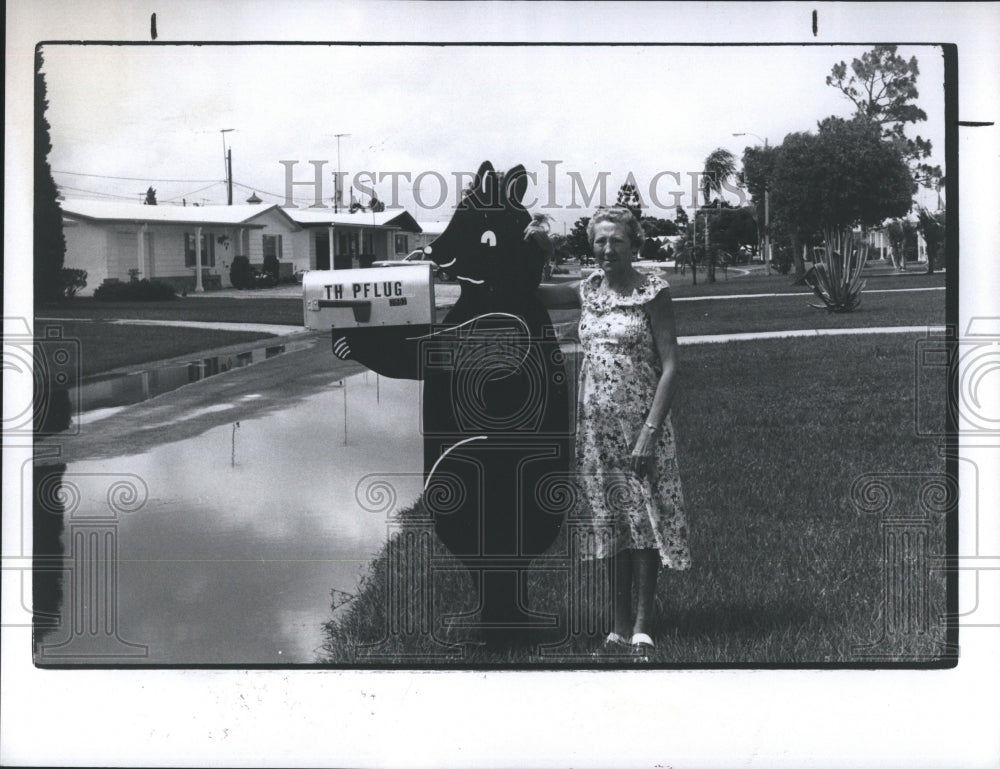 1981 Maria Pflug And Her Wooden Bear Custom Made Mailbox  - Historic Images