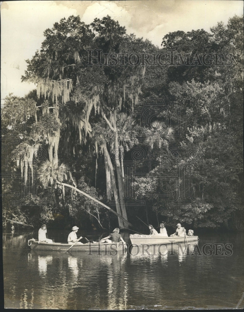 1950 View Homasassa River Background Tidewater Jungle Natural Spring - Historic Images