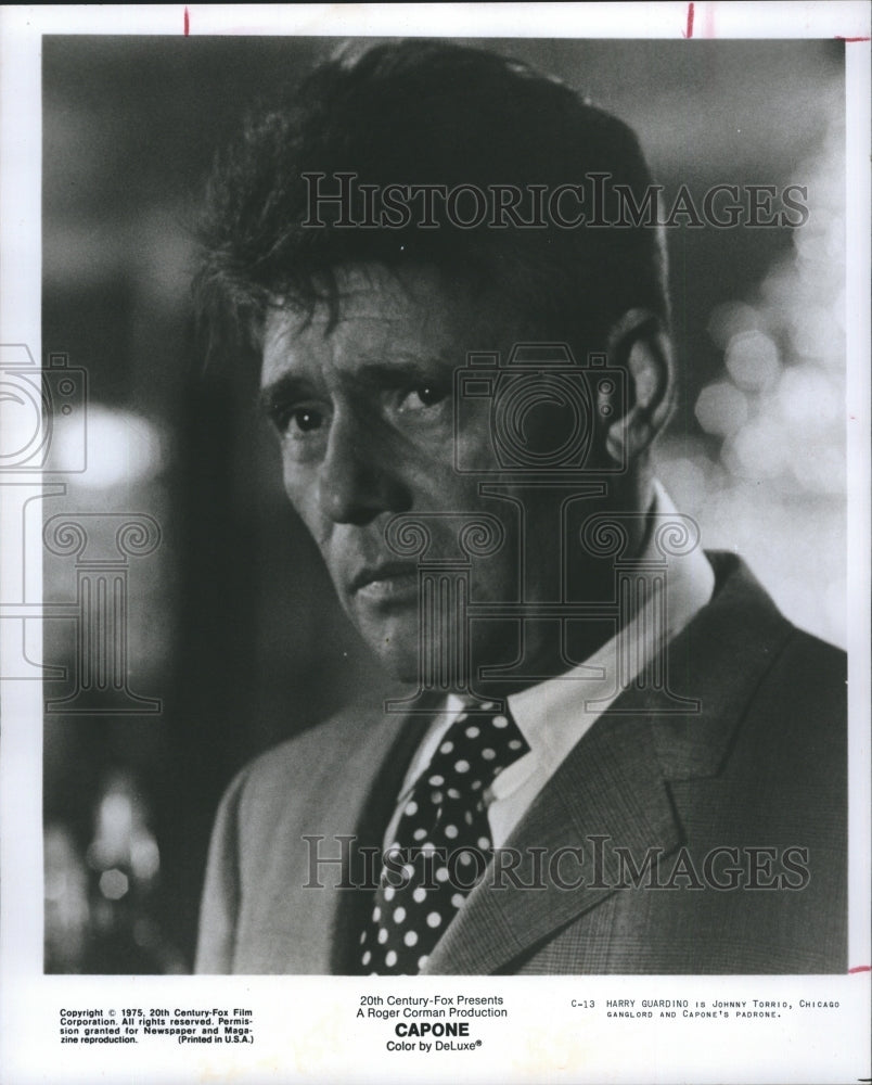 1975 Actor Harry Guardino  - Historic Images