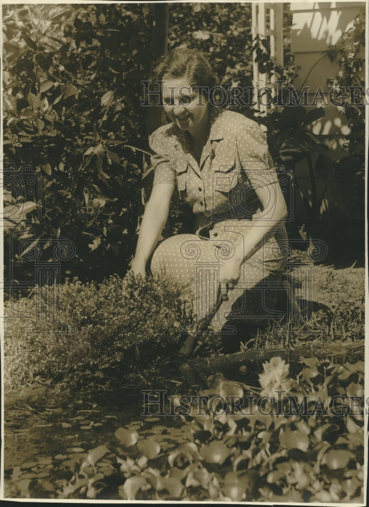 Mrs. Stewart Warren Tends Water Lily Pond  - Historic Images