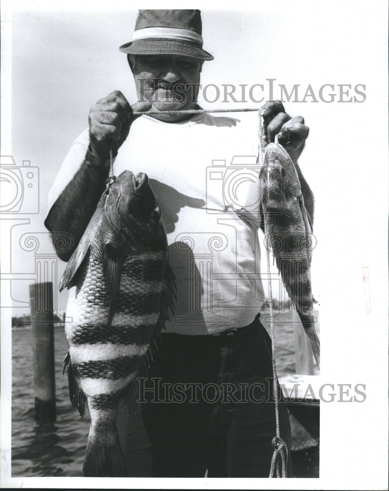 1991 Bob Kondik caught a 41 lb and a 13 lb fish off the St Pete pier - Historic Images