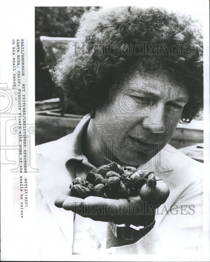 1981 Press Photo Francois Picard with Snails from His Snail Farm - RSH70439 - Historic Images