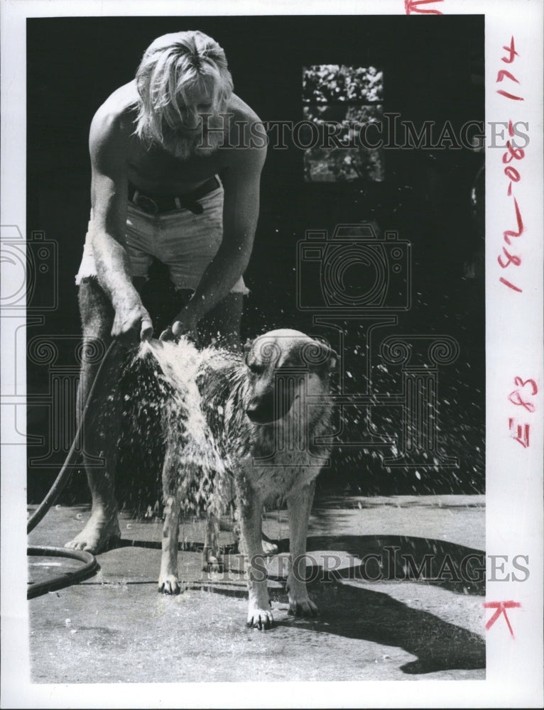 1972 Bob Perry washing his German Shepherd, Blue - Historic Images