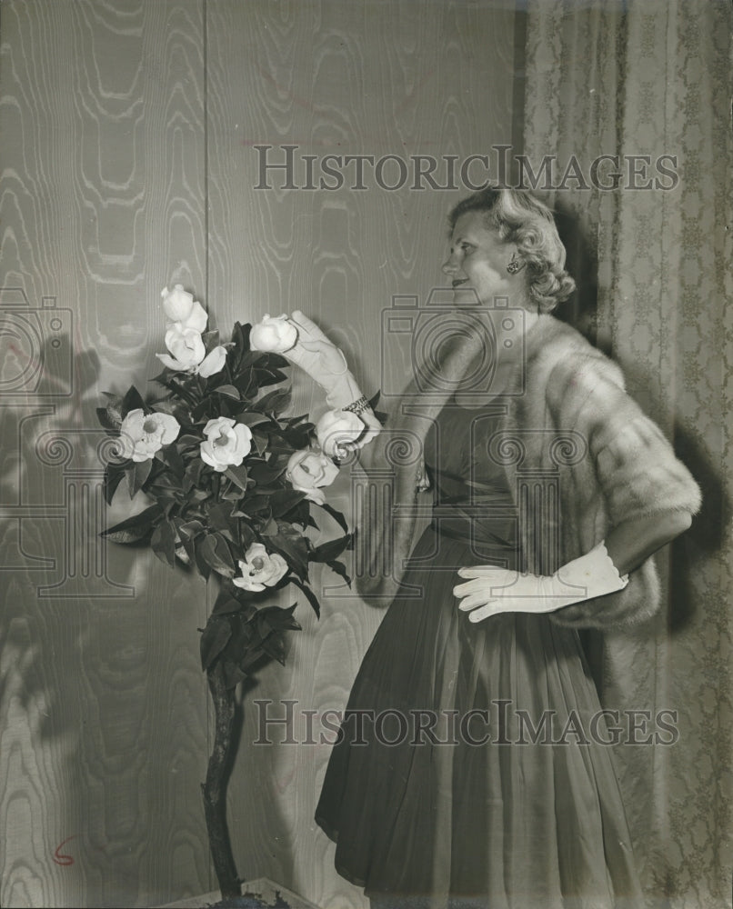 1960 Mrs Robert Pitt Chiffon Dress Mink Stole - Historic Images