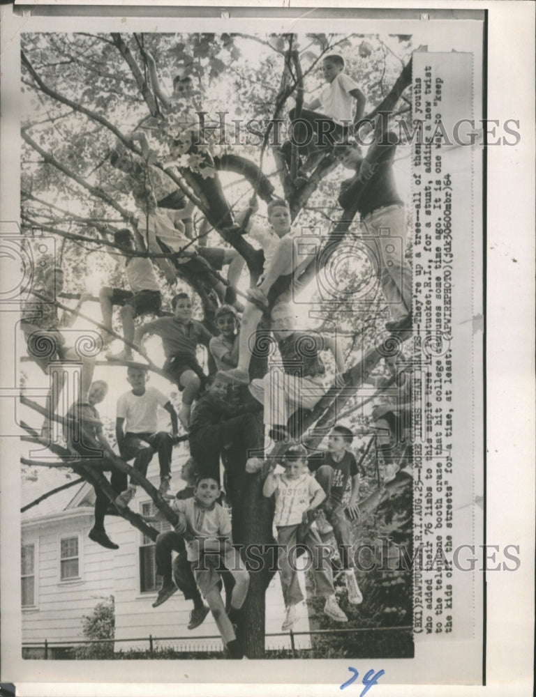 1964 19 youths added their 76 limbs to maple tree in Pawtucket,RI - Historic Images