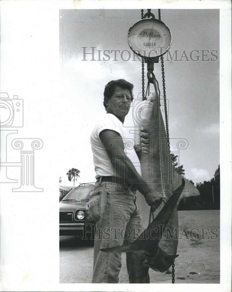 1985 Phil Kessler holds a 7-foot tiger shark. - Historic Images
