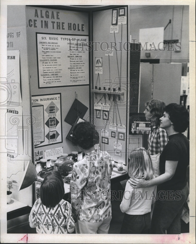 1986 A science fair project about algae - Historic Images