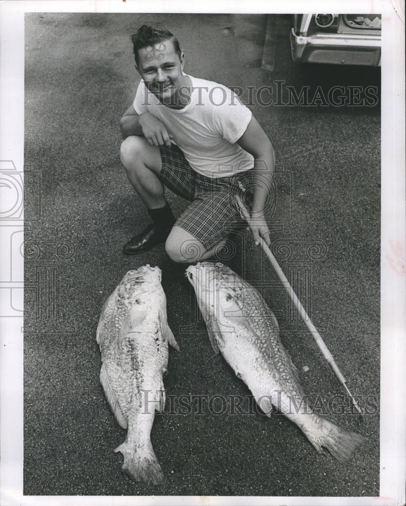 1965 Ted Gardner With Two 45-lb Drums He And Billy Cribbs Caught - Historic Images