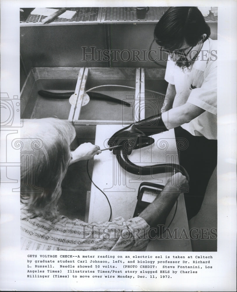 1972 Carl Johnson & Dr. Richard Russell Check Voltage Of Eels - Historic Images