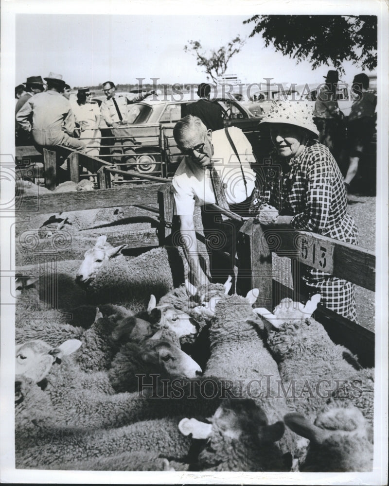 1966 American visitors inspect a pen of sheep at a ranch near Dubbo. - Historic Images