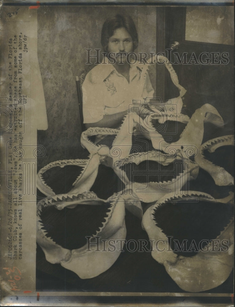 1975 Gene Simmons & His Collection of Shark Jaws, Jawbones - Historic Images