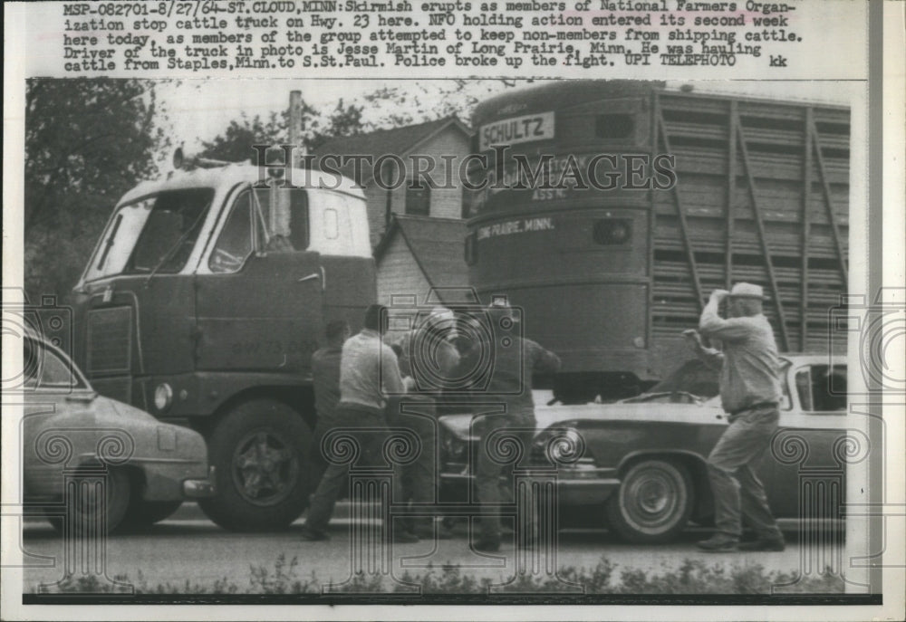 1967 National Farmers Organization stopping cattle truck  - Historic Images