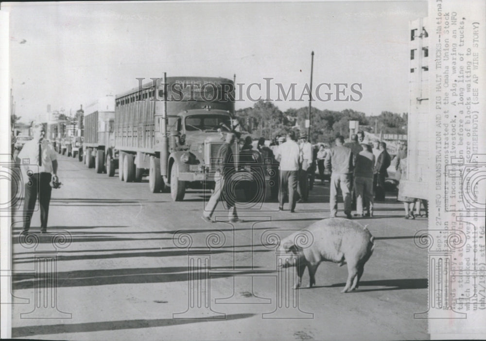 1964 National Farmers Organization protests - Historic Images