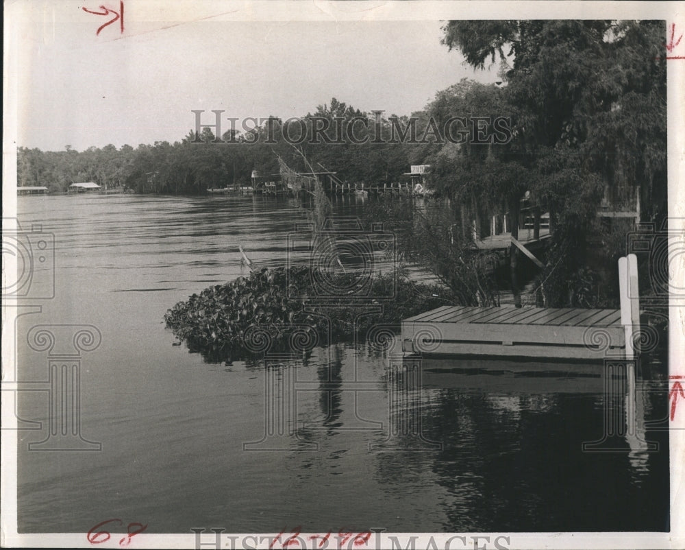 1967 Suwanee River from Fowler&#39;s Bluff  - Historic Images