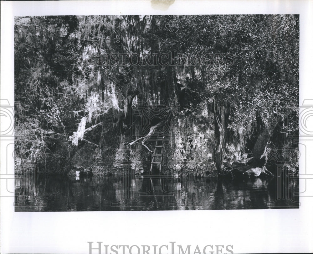 Suwannee River  - Historic Images