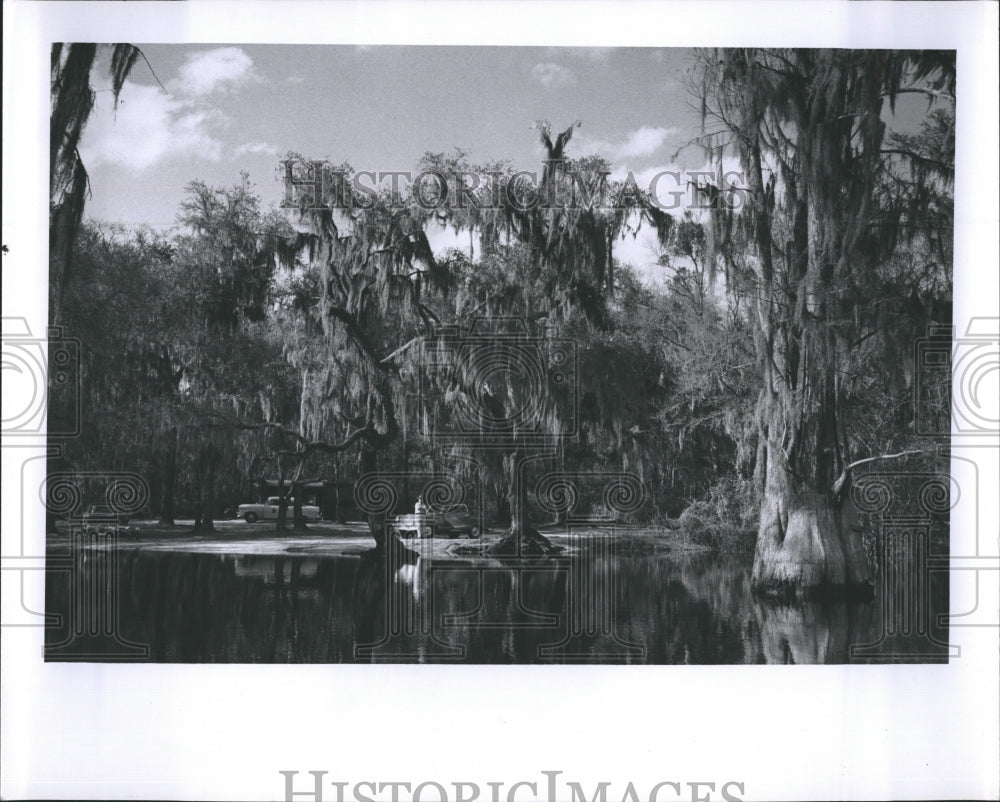 Suwannee RIver Georgia  - Historic Images