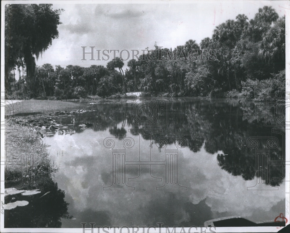 scenic view of Braden River in Manatee Co. Florida  - Historic Images