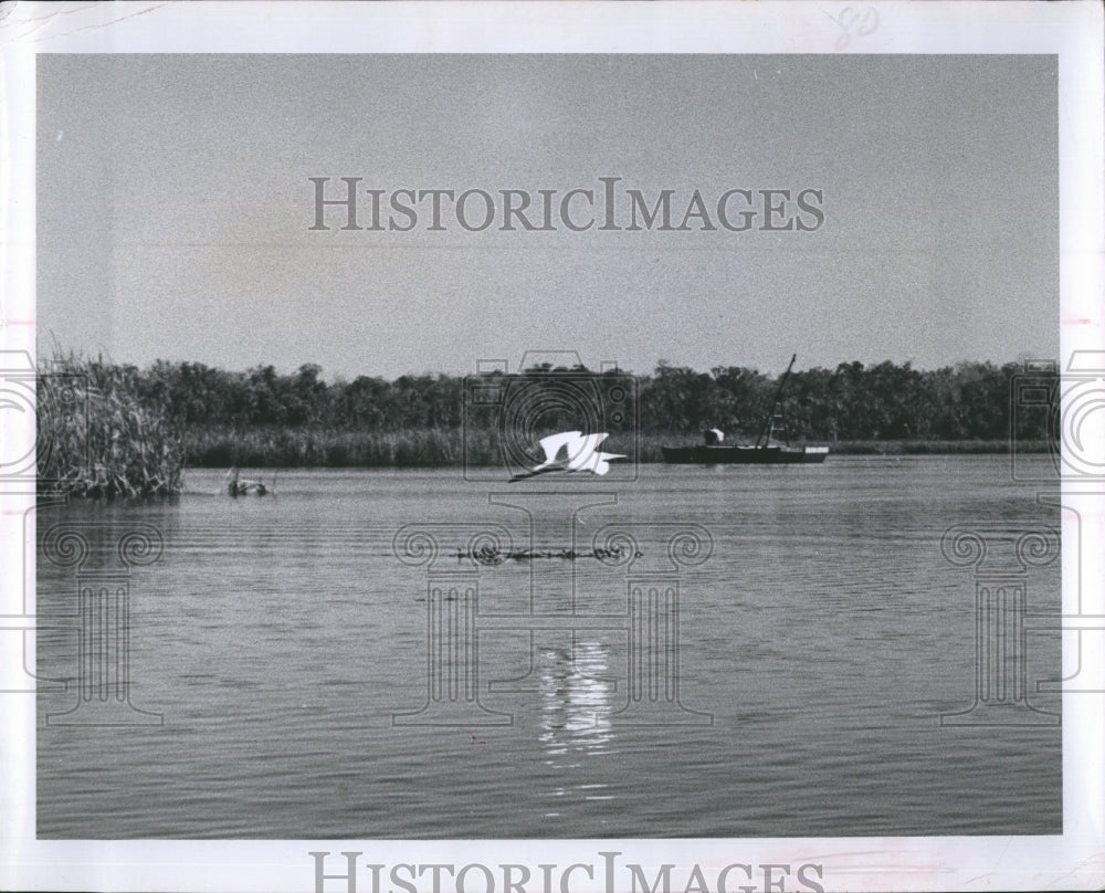 1956 Lake. - Historic Images