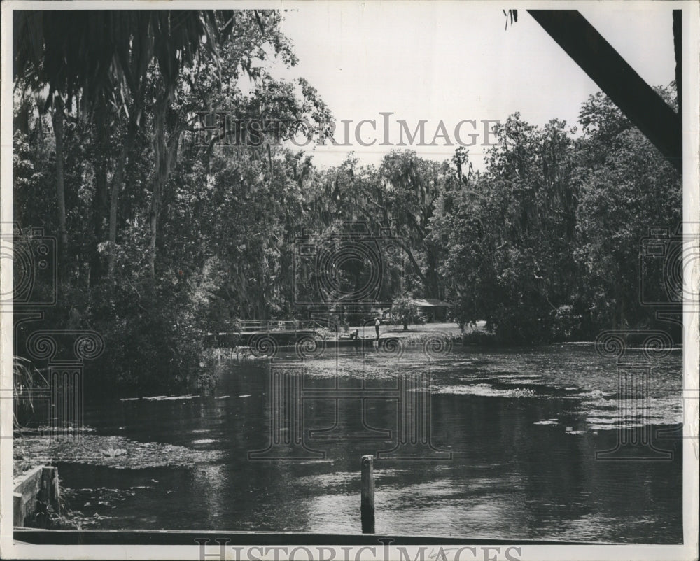 1948 Press Photo Homasassa river - RSH74543 - Historic Images