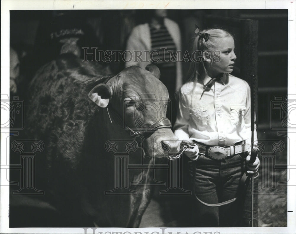 1981 Mandy Grossenbacher await with his cow.  - Historic Images