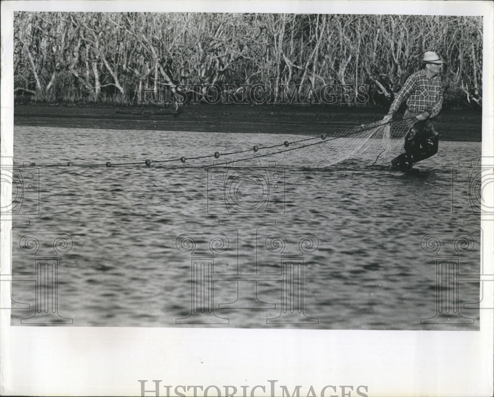 1966 a fisherman hauling a net in Florida  - Historic Images