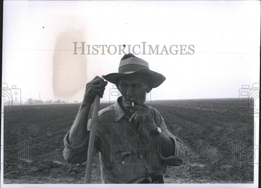 1970 Farmer standing in a field - Historic Images