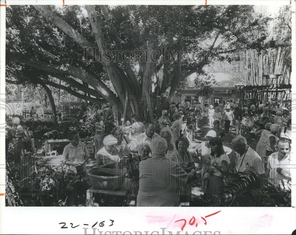1984 The Sarasota Selby Gardens  - Historic Images