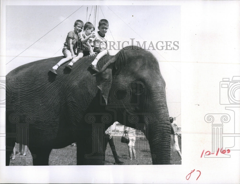 1969 Press PhotoAllen, Johnny and Joe Diebold Ride Elephant at Seminole Carnival - Historic Images