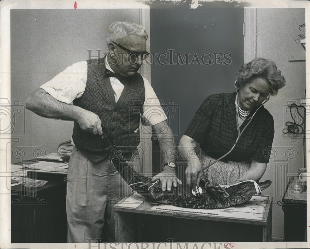 1962 Albert the Science Center's Alligator with Mrs Nell Croley - Historic Images