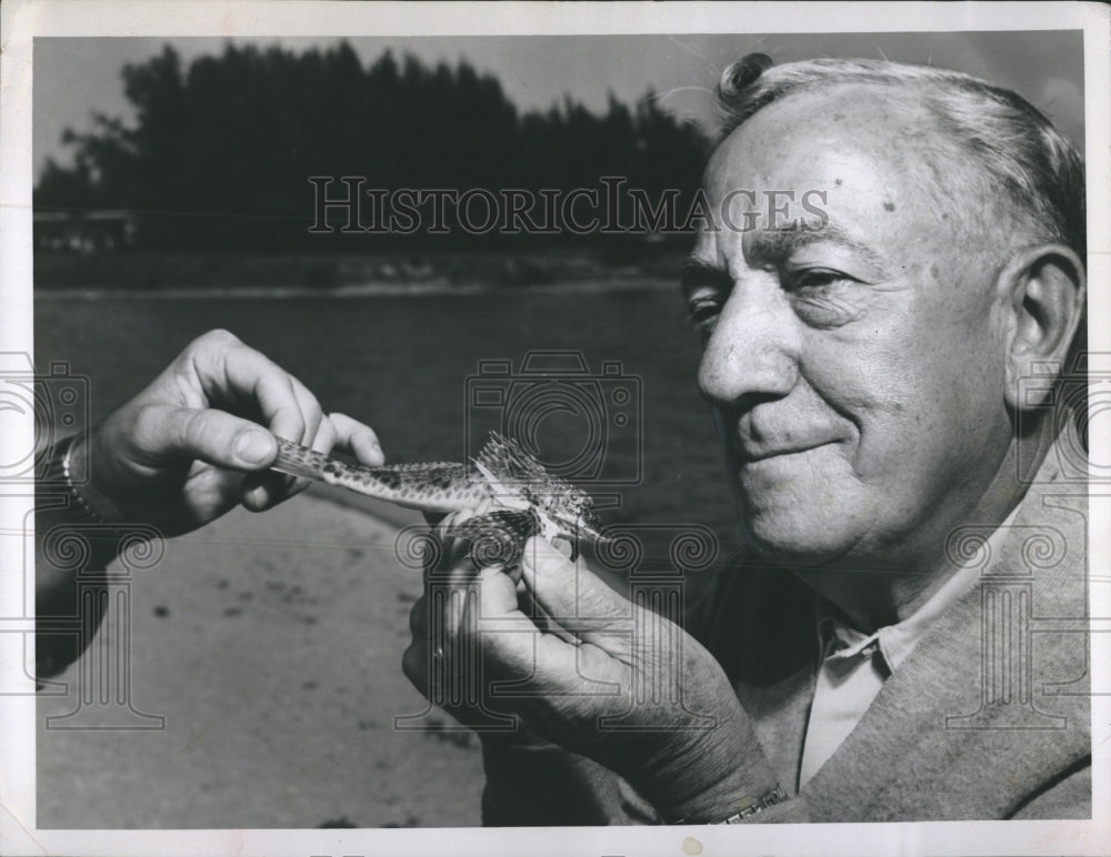 Raymond Snow Examines Sea Creature  - Historic Images